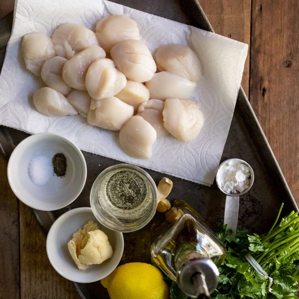Wild Sea Scallops - Image 3