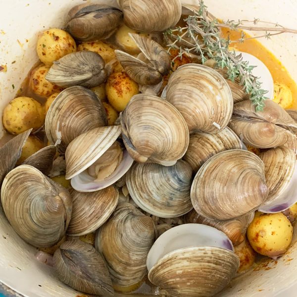 Cedar Key Clams - Image 2