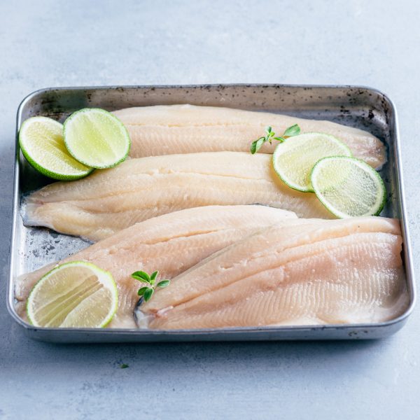 Rainbow Trout - Image 7