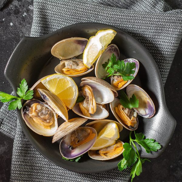 Cedar Key Clams - Image 6